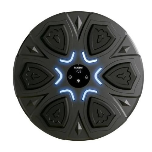 Máquina de Boxeo Inteligente Avanzada (ARG-BOX-002) Randers